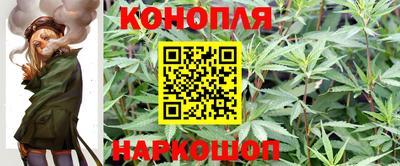 прущие грибы Ливны