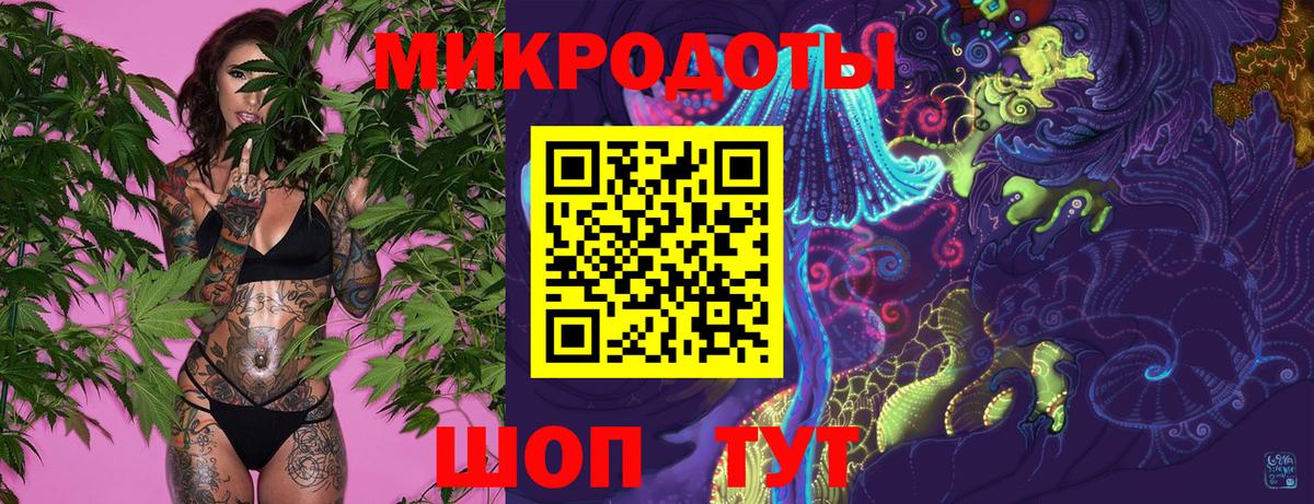Галлюциногенные грибы Psilocybe  Вход с VPN  Камень-на-Оби 