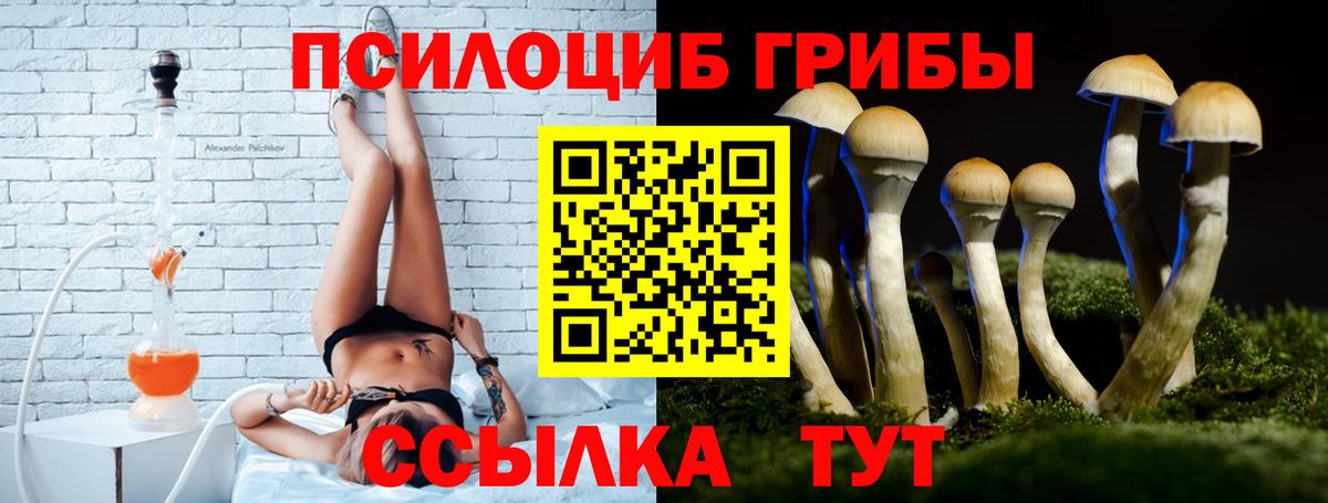 Псилоцибиновые грибы Psilocybine cubensis Камень-на-Оби